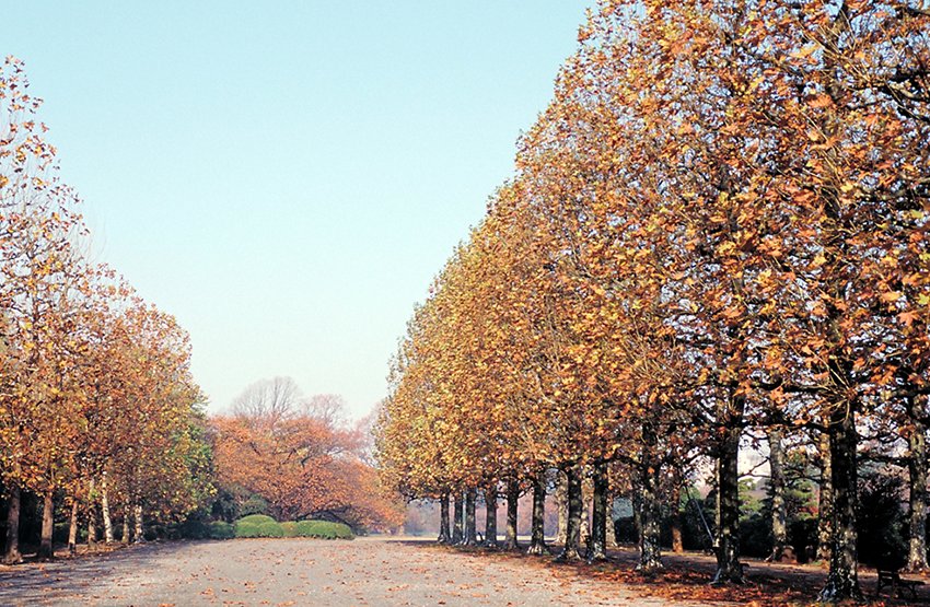 Shinjuku Gyoen National Garden