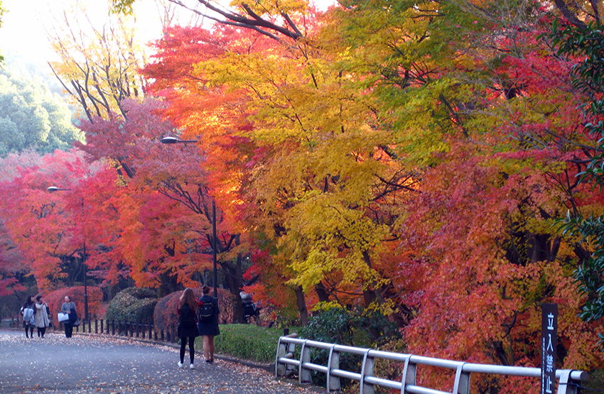Kokyo Gaien National Garden