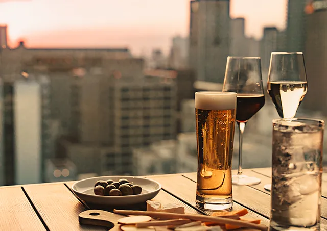 20F ルーフトップバー