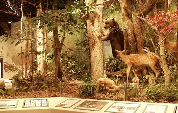 小樽市綜合博物館本館運河館