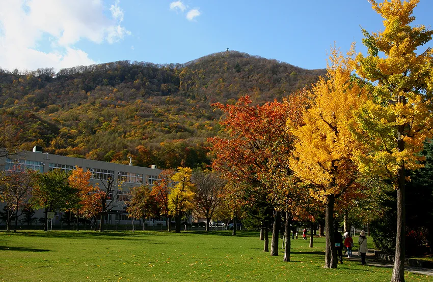 藻岩山 山頂觀景台