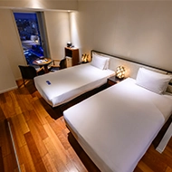 成熟高階主管雙胞胎