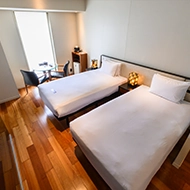 成熟高階主管雙胞胎