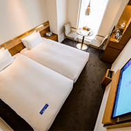 標準好萊塢雙床