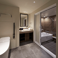 無障礙雙床/浴室，洗手池，馬桶